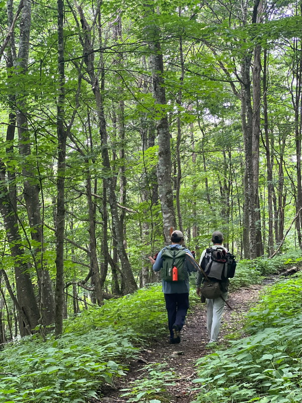 Guided Hiking Trip